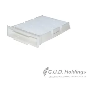 AC207 GUD