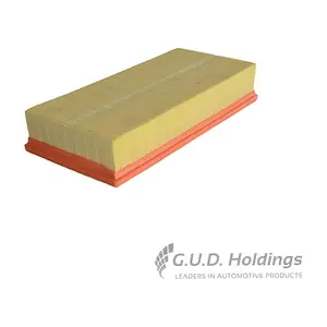AG828 GUD