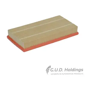 AG1037 GUD