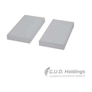 AC113 GUD