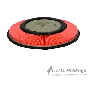 AG856 GUD