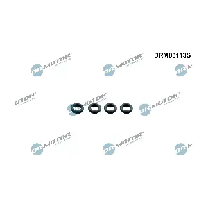 DRM03113S Dr.Motor Automotive
