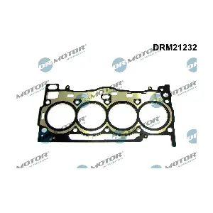 DRM21232 Dr.Motor Automotive