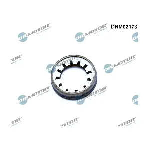 DRM02173 Dr.Motor Automotive