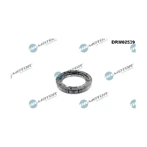 DRM02539 Dr.Motor Automotive