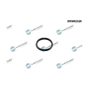 DRM02920 Dr.Motor Automotive