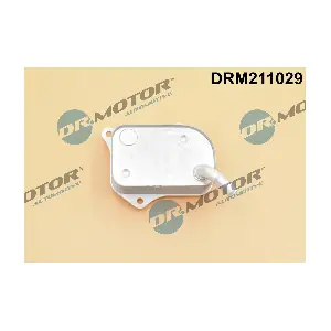 DRM211029 Dr.Motor Automotive