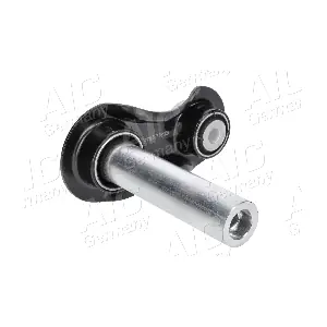 54918 AIC
