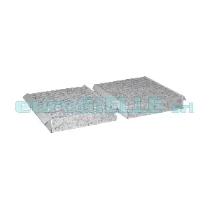 V3607 SIARIA