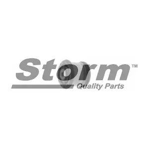 F2289 STORM QUALITY PARTS