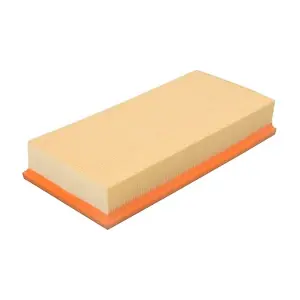 BF0427400299 BAPMIC