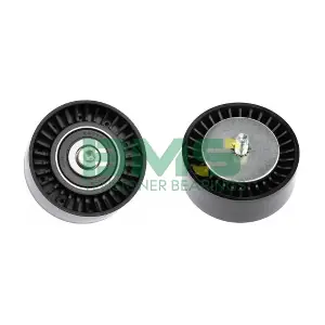 BMS 421 BMS