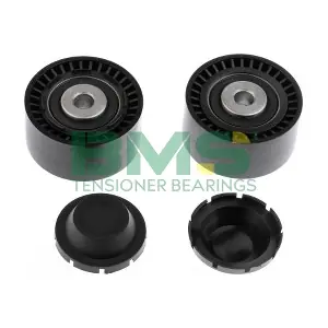 BMS 471 BMS
