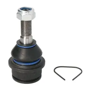 RH03-0035 REINHOCH