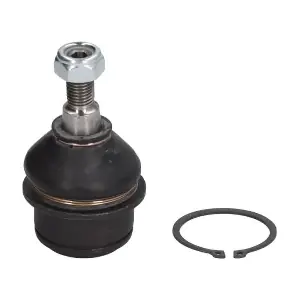 RH03-6009 REINHOCH