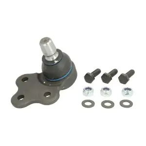 RH03-1007 REINHOCH