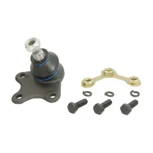 RH03-0002 REINHOCH