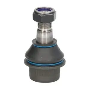RH03-3016 REINHOCH