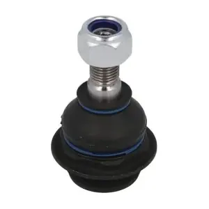 RH03-2033 REINHOCH