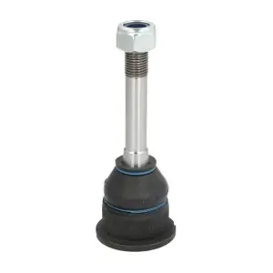 RH03-3009 REINHOCH