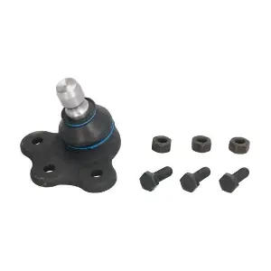 RH03-5008 REINHOCH
