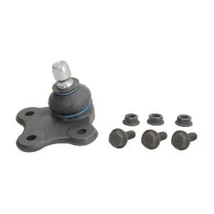 RH03-1006 REINHOCH