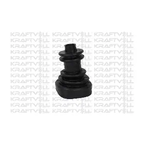 10020374 KRAFTVOLL GERMANY