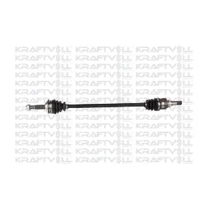 01010166 KRAFTVOLL GERMANY