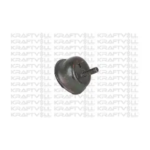 10010814 KRAFTVOLL GERMANY