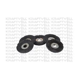 10010591 KRAFTVOLL GERMANY