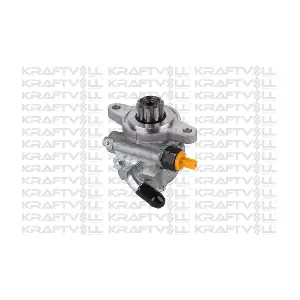 01060065 KRAFTVOLL GERMANY