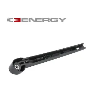 RWT0040 ENERGY