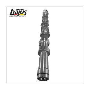 1091057 hajus Autoteile