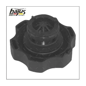 1211363 hajus Autoteile