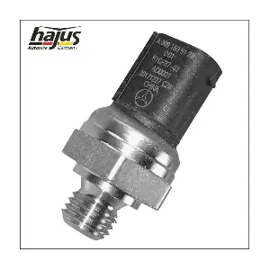 1151594 hajus Autoteile