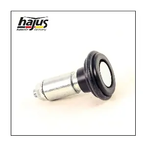 8431073 hajus Autoteile