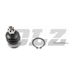 BJ0198 DLZ