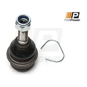 2S0010 ProfiPower