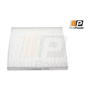 4F0010 ProfiPower