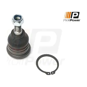 2S0060 ProfiPower
