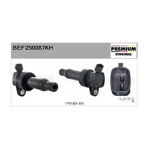 BEF250087KH FLAMAR