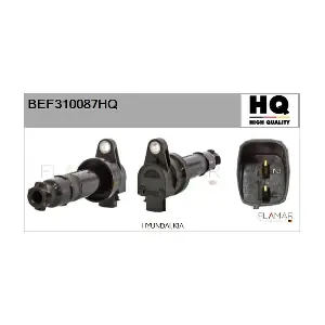 BEF310087HQ FLAMAR