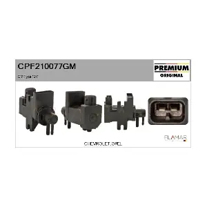 CPF210077GM FLAMAR