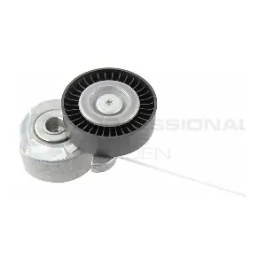 21431286 Professional Parts