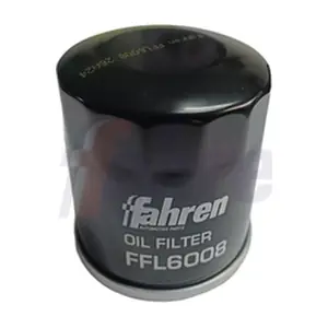 FFL6008 Fahren