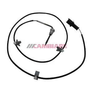 VE390308 Cambiare