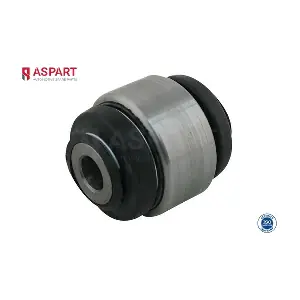 1BUS1057 ASPART
