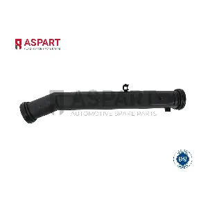 6PIP1001 ASPART