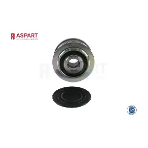 8AFR1030 ASPART