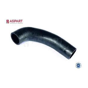 5HOS1301 ASPART
